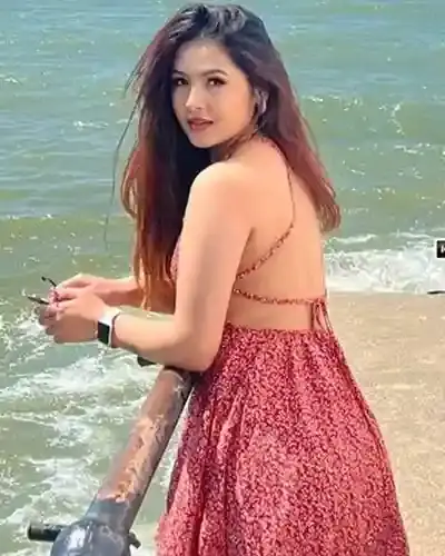 Lower Subansiri Escort Service